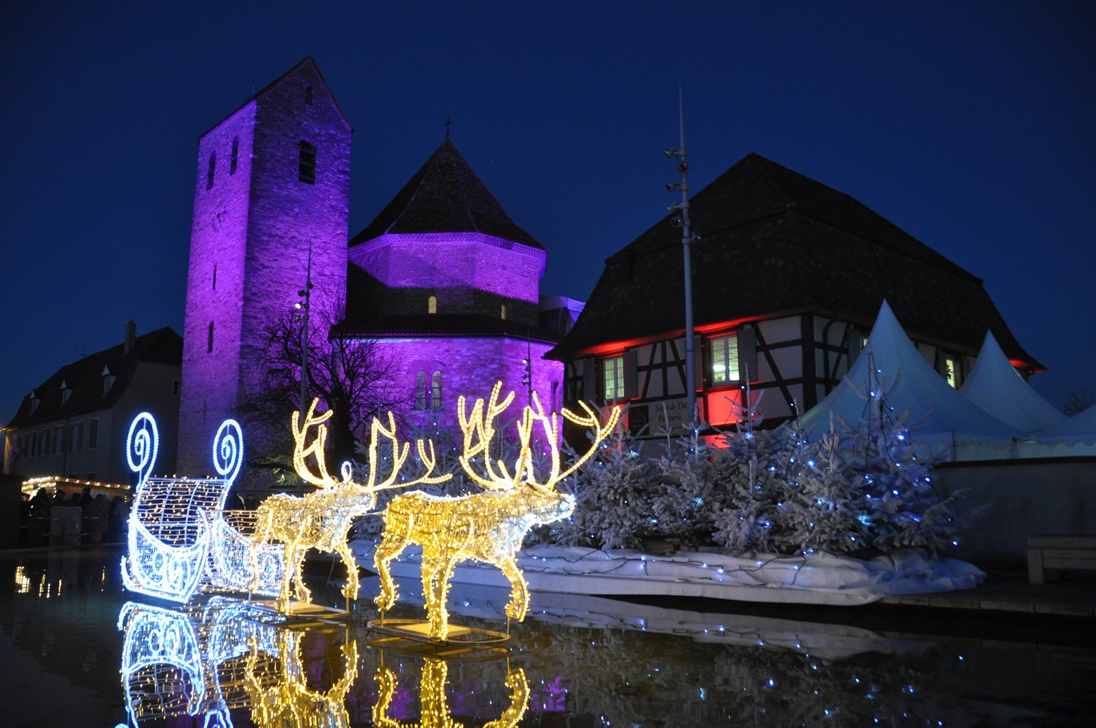 Rennes et traîneau illuminés à Ottmarsheim